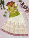 Ajd 8166 Heavy Pure Dola Silk Lehenga With Blouse Best Wholesale Shop In Surat